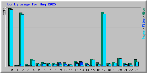 Hourly usage for May 2025