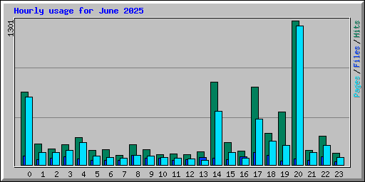 Hourly usage for June 2025