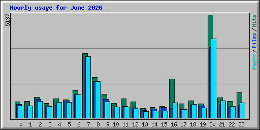 Hourly usage for June 2026